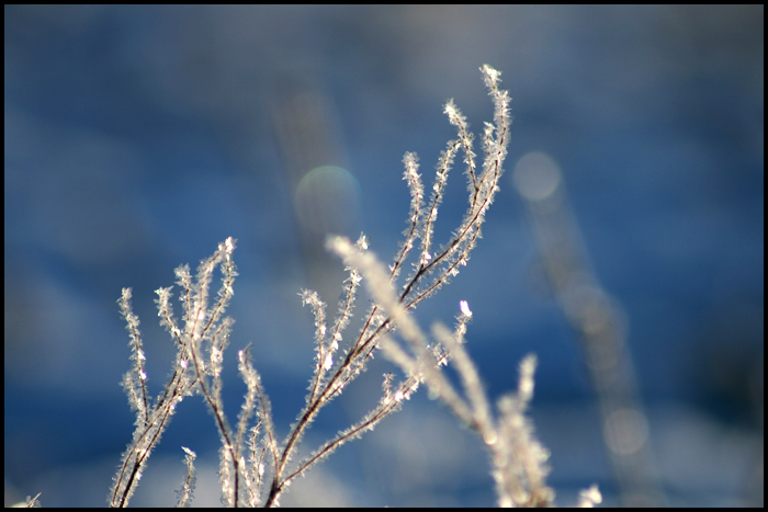 vinter1